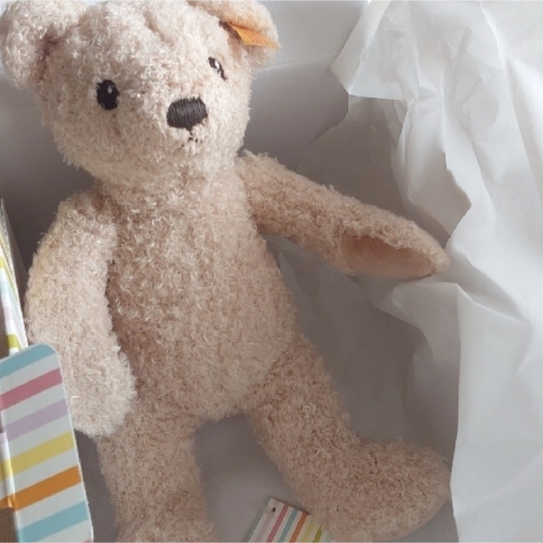 Steiff - 【新品・未使用】マイファースト シュタイフ 赤ちゃん Steiff - 【新品・未使用】マイファースト シュタイフ 赤ちゃん