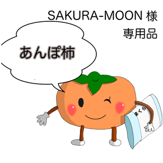 SAKURA_MOON様　専用品（あんぽ8）(フルーツ)