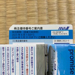 エーエヌエー(ゼンニッポンクウユ)(ANA(全日本空輸))のANA 株主優待券　1枚(その他)