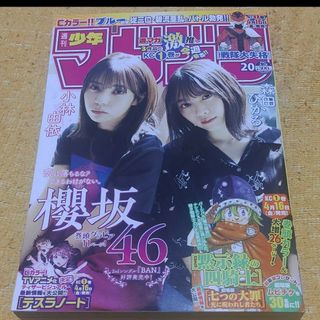 櫻坂46 森田ひかる 週刊少年マガジン  20号 応募券無し(少年漫画)