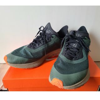 ナイキ(NIKE)のNIKE　ナイキ　ズームペガサス36 トレイル　GTX(登山用品)