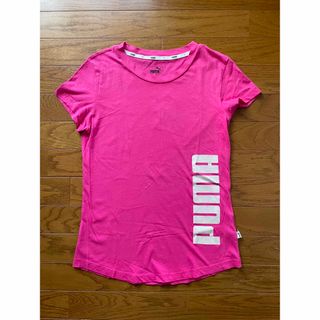 プーマ(PUMA)のPUMA レディースTシャツ  L サイズ　即購入🆗(Tシャツ(半袖/袖なし))