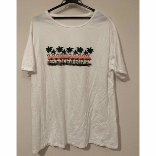 フジファブリック　BIGTシャツ　フラミンゴ(Tシャツ/カットソー(半袖/袖なし))