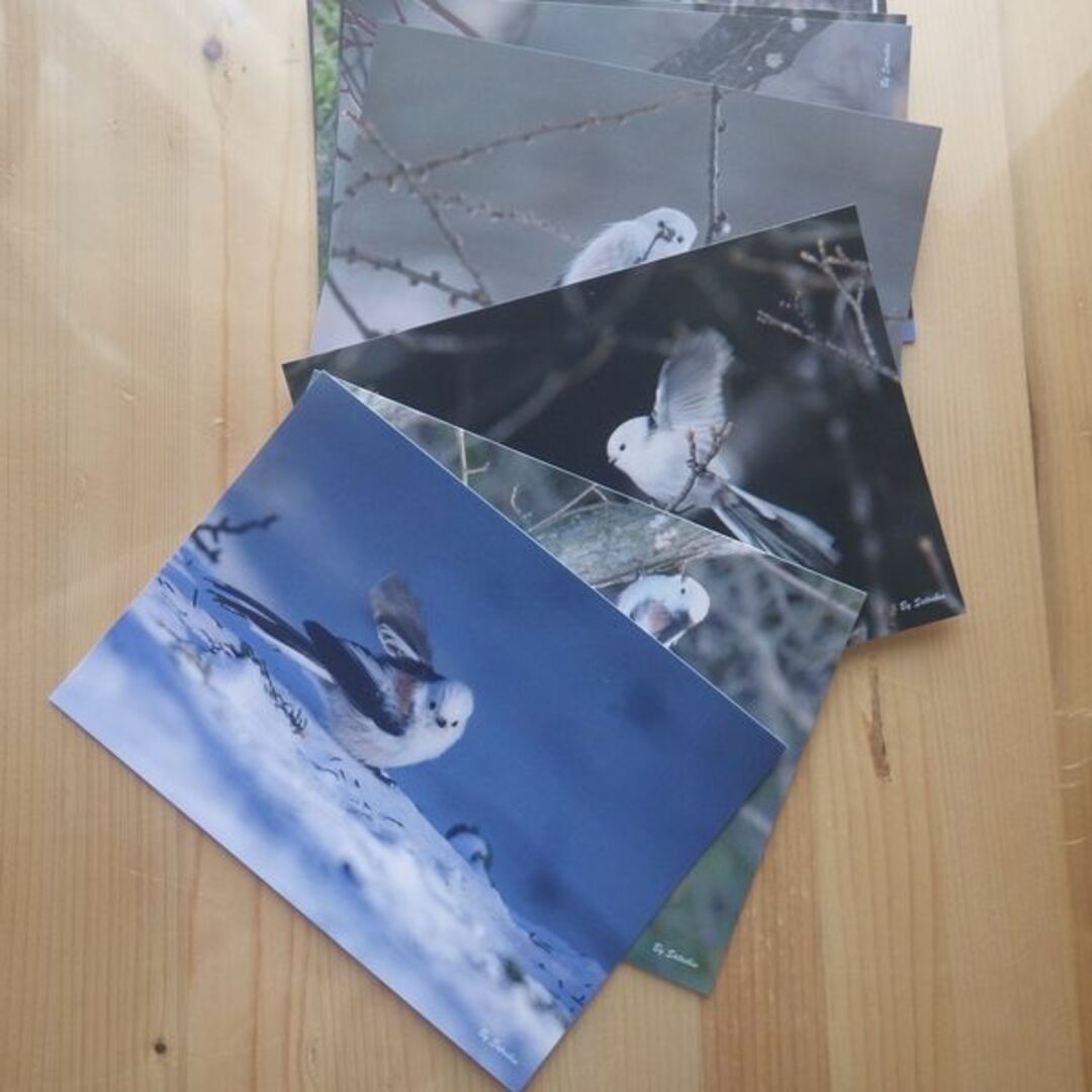 シマエナガのオリジナル写真絵はがき　12枚セット エンタメ/ホビーの美術品/アンティーク(写真)の商品写真