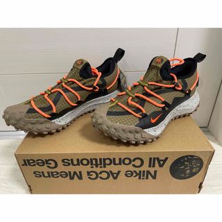 ナイキ(NIKE)の⭐️新品 未使用⭐️ ナイキACG Mountain Fly Low GTX(スニーカー)