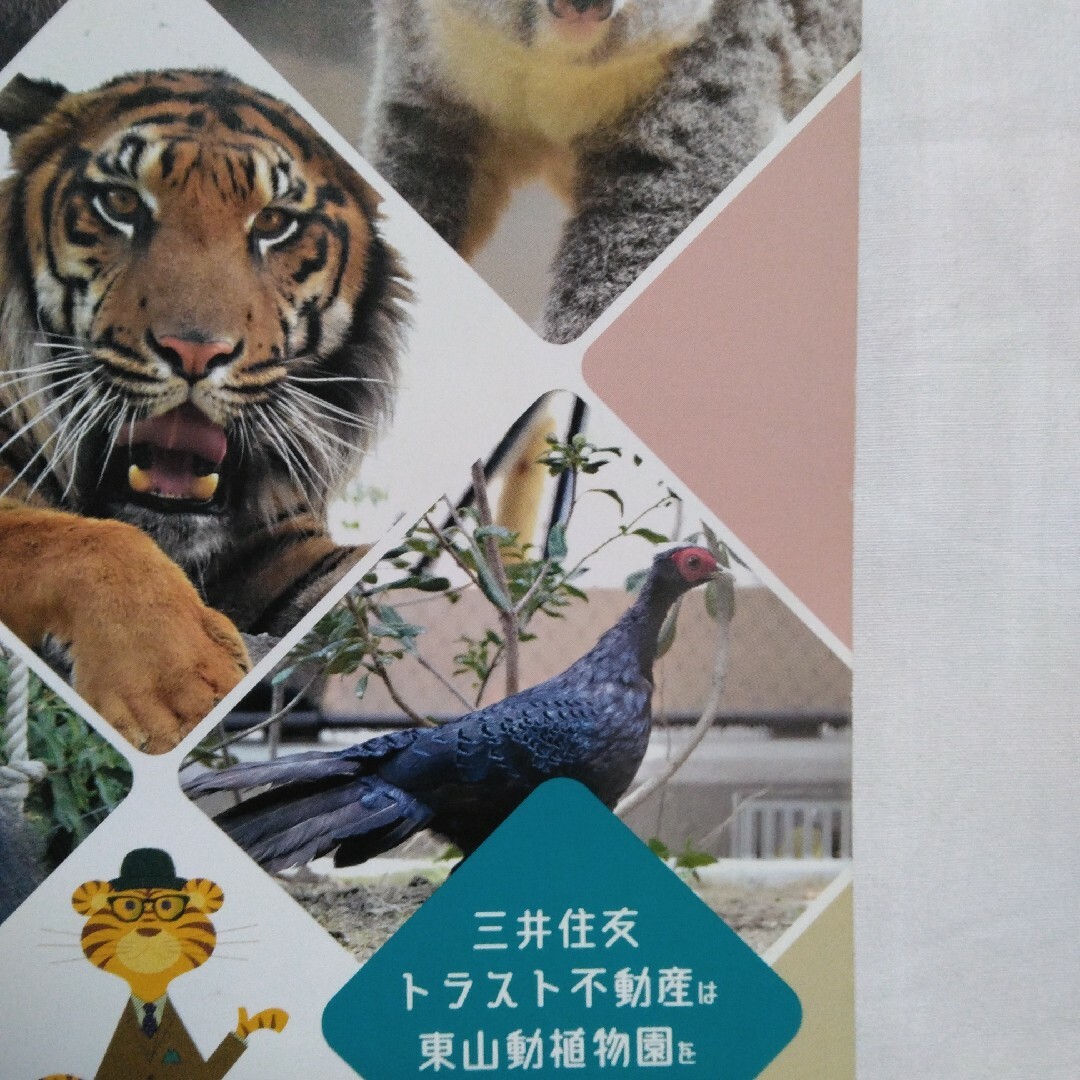 東山動物園のカレンダー インテリア/住まい/日用品の文房具(カレンダー/スケジュール)の商品写真