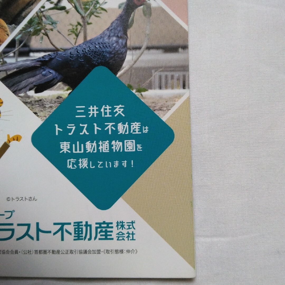 東山動物園のカレンダー インテリア/住まい/日用品の文房具(カレンダー/スケジュール)の商品写真