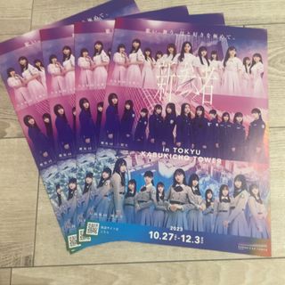 ノギザカフォーティーシックス(乃木坂46)の乃木坂46 、櫻坂46 、日向坂46  フライヤー　新参者(アイドルグッズ)