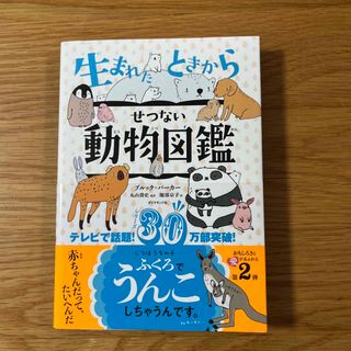 生まれたときからせつない動物図鑑(絵本/児童書)