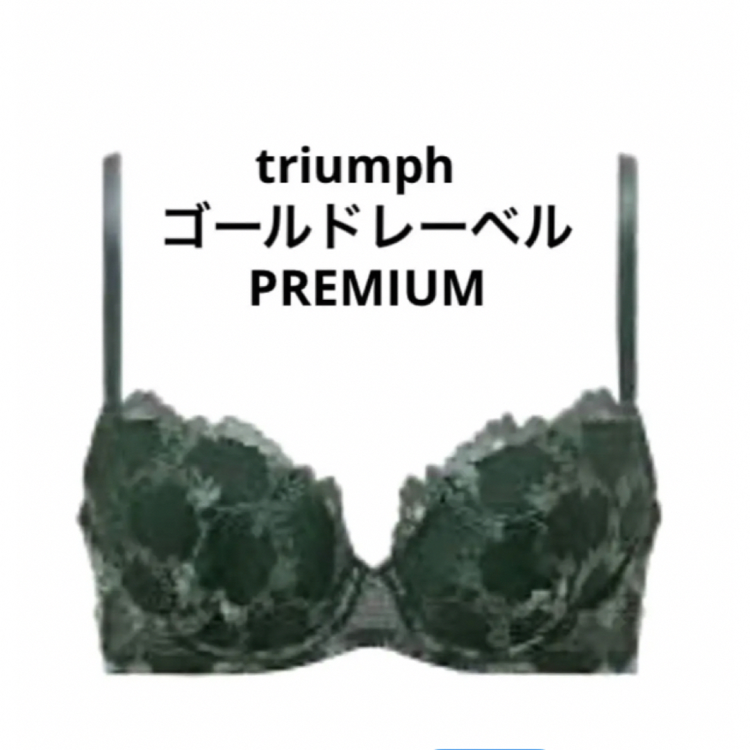 Triumph(トリンプ)の【新品タグ付】トリンプ／プレミアムゴールドレーベルC65M（定価¥13,860） レディースの下着/アンダーウェア(ブラ&ショーツセット)の商品写真