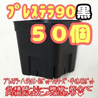 【スリット鉢】プレステラ90黒50個 多肉植物 プラ鉢(プランター)
