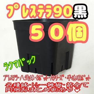 【スリット鉢】プレステラ90黒50個 多肉植物 プラ鉢ラクマパック(プランター)