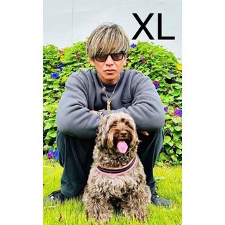 RATS - XLサイズ rats crew neck sweat bar tag キムタクの通販 by