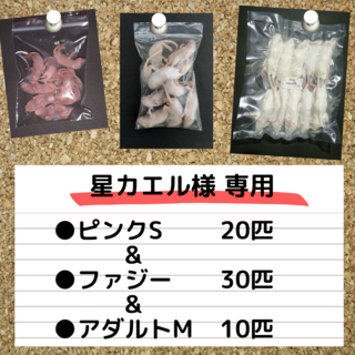 【星カエル様専用】国産冷凍マウスピンクS 20匹ファジー 30匹アダルトＭ10匹(ペットフード)