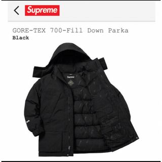 Supreme GORE-TEX 700-Fill ダウン　18FW