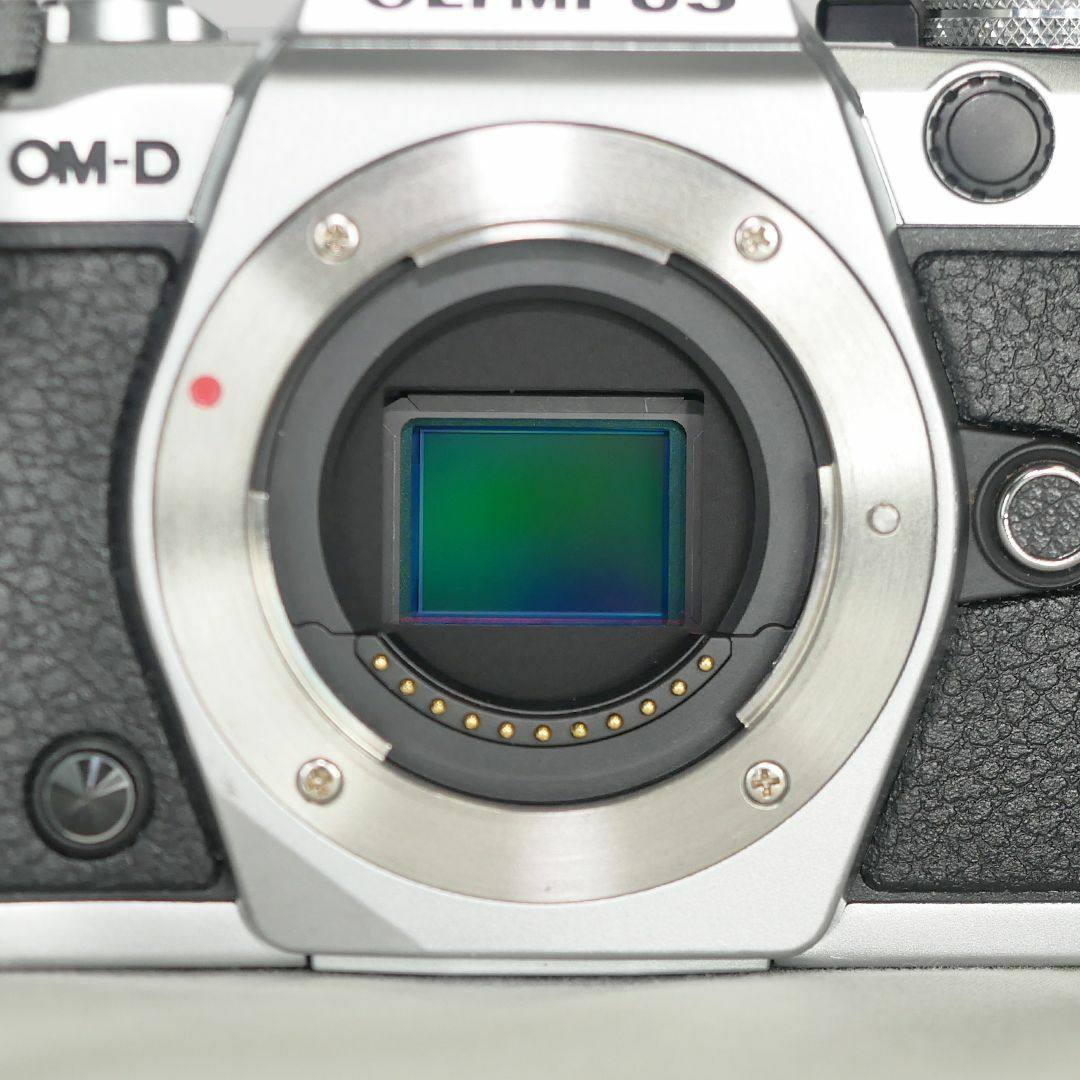 OLYMPUS(オリンパス)のOLYMPUS OM-D E-M5 Mark II body ＋ α スマホ/家電/カメラのカメラ(デジタル一眼)の商品写真