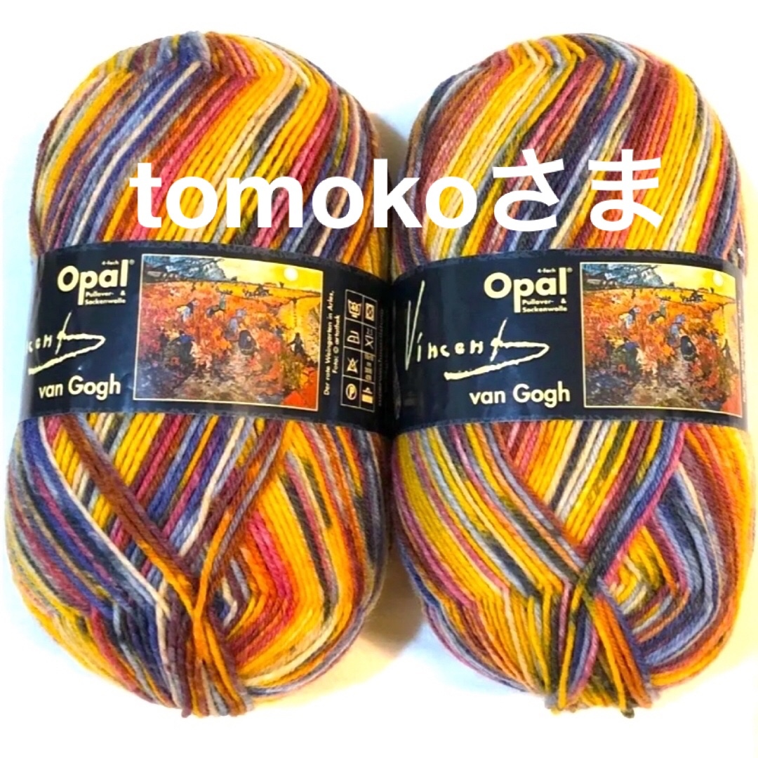 【大人気毛糸】Opal ゴッホ  5433 2玉【匿名配送】 ハンドメイドの素材/材料(生地/糸)の商品写真