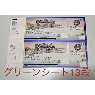 阪神タイガース ファン感謝デー2023 グリーンシート2枚の通販｜ラクマ
