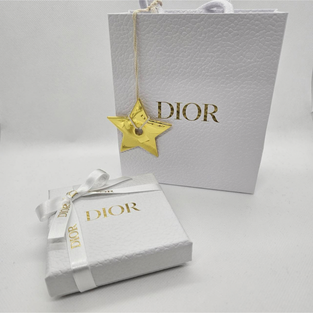 【新品未使用】Dior PETIT CD ピアス 両耳