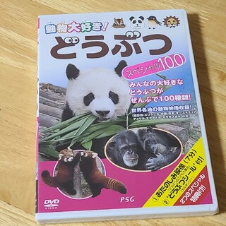 動物大好き！　どうぶつスペシャル100 DVD(キッズ/ファミリー)