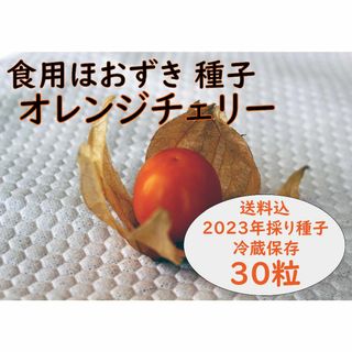 【家庭菜園】【美容効果】 食用ほおずき「オレンジチェリー」種30粒 ワンコイン(野菜)