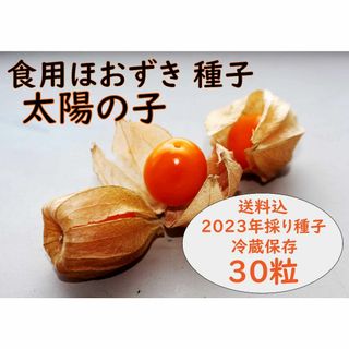 【美容効果で注目】食用ほおずき「太陽の子」種30粒 ワンコイン(野菜)