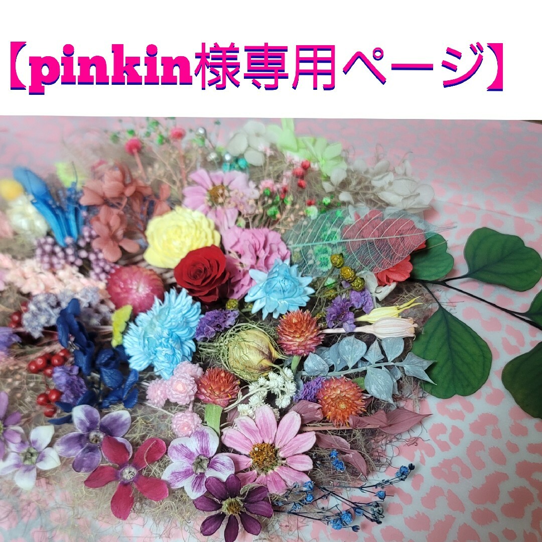 【pinkin様専用】ドライフラワー花材(花色) ハンドメイドのフラワー/ガーデン(プリザーブドフラワー)の商品写真