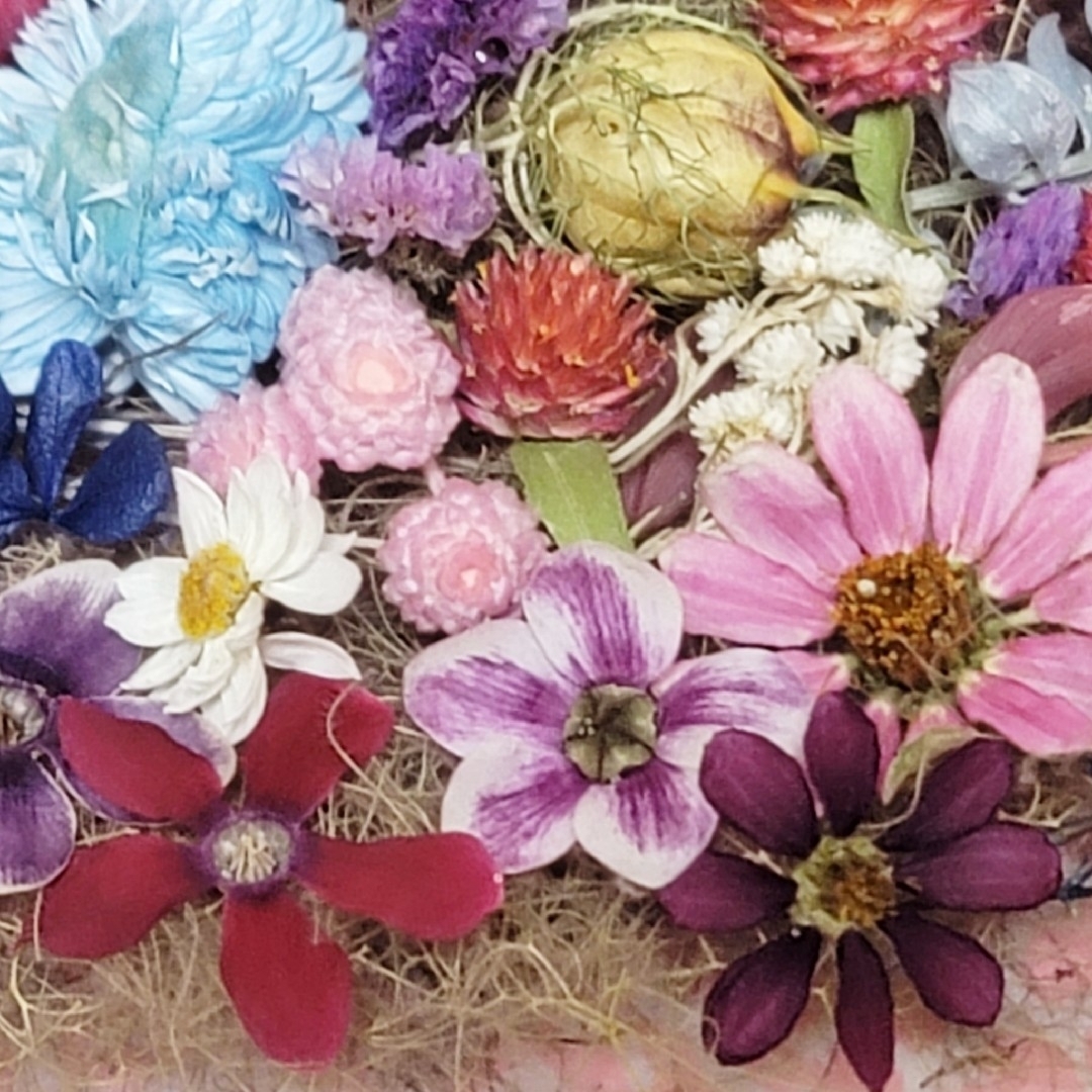 【pinkin様専用】ドライフラワー花材(花色) ハンドメイドのフラワー/ガーデン(プリザーブドフラワー)の商品写真