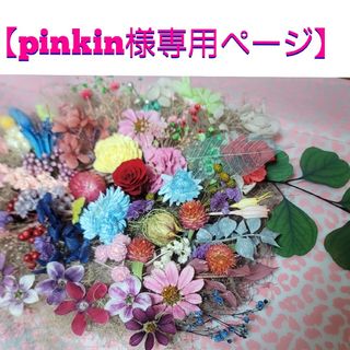 【pinkin様専用】ドライフラワー花材(花色)(プリザーブドフラワー)