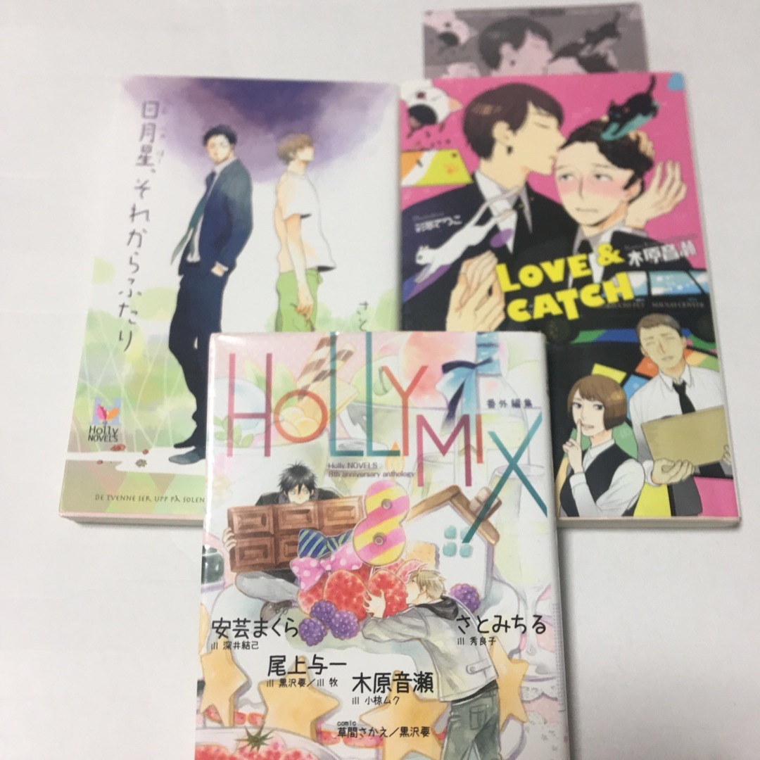 HOLLY MIX番外編集  LOVE &CACTCH  日月星、それからふたり エンタメ/ホビーの本(ボーイズラブ(BL))の商品写真