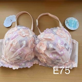 ブラジャー単品E75(5)リリアージュココ(ブラ)