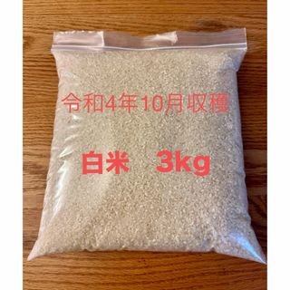 白米　古米　令和4年収穫分　3kg(米/穀物)