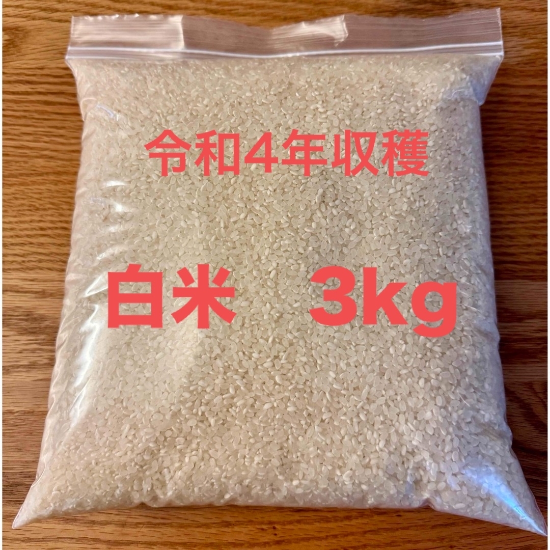 白米　令和4年収穫　3kg 米 食品/飲料/酒の食品(米/穀物)の商品写真