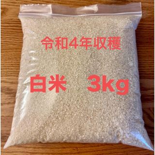 白米　令和4年収穫　3kg 米(米/穀物)