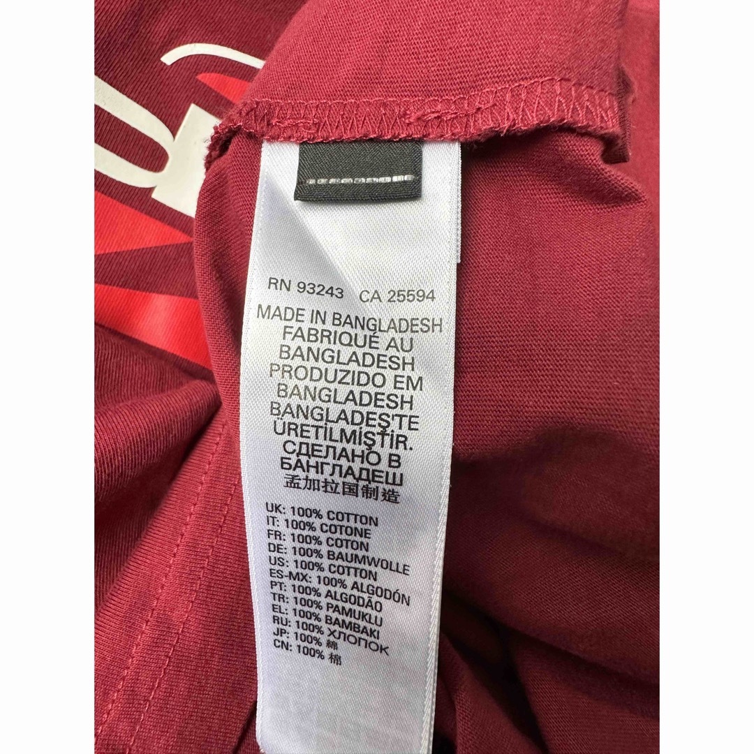 DIESEL(ディーゼル)のDIESEL ディーゼル ロゴプリント ロンT ボルドーレッド メンズのトップス(Tシャツ/カットソー(七分/長袖))の商品写真
