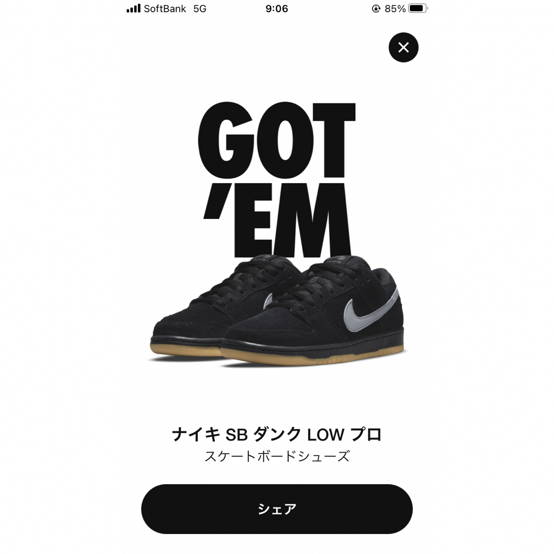 27cm NIKE SB DUNK LOW PRO BLACK FOG GUM