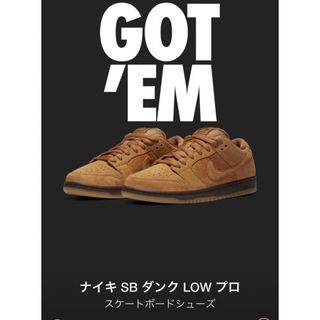 ナイキ(NIKE)のNike SB Dunk Low Pro (スニーカー)