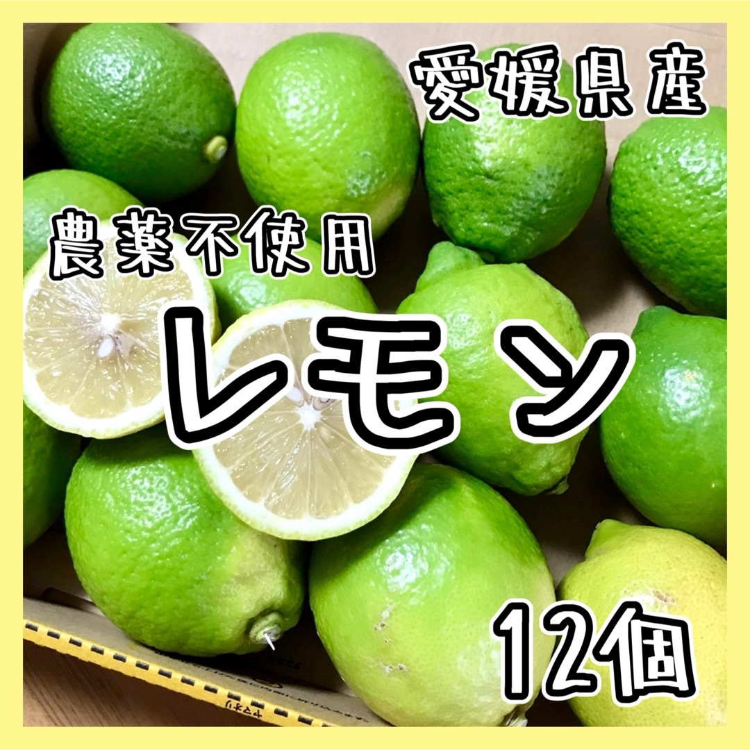 愛媛県産 農薬不使用 グリーンレモン12個 ③国産レモン 果物 国産 食品/飲料/酒の食品(フルーツ)の商品写真