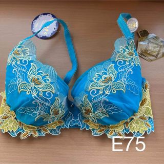 ブラジャー単品E75(7)ドゥペルル(ブラ)