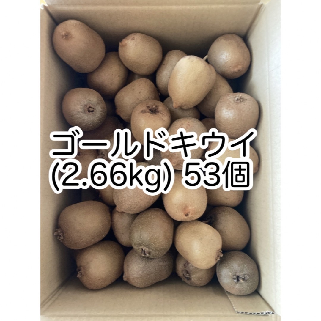 ゴールドキウイ　2.66kg キウイフルーツ 食品/飲料/酒の食品(フルーツ)の商品写真