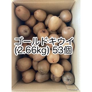 ゴールドキウイ　2.66kg キウイフルーツ(フルーツ)