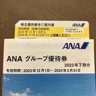 エーエヌエー(ゼンニッポンクウユ)(ANA(全日本空輸))のANA 株主優待券 1枚(その他)