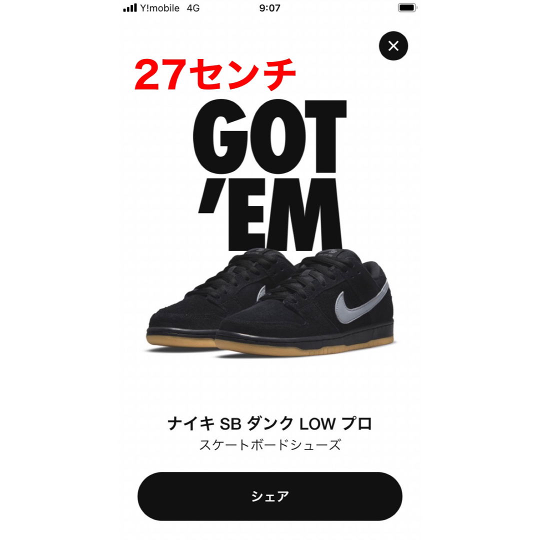 Nike SB Dunk Low Pro "Black/Fog 27cm