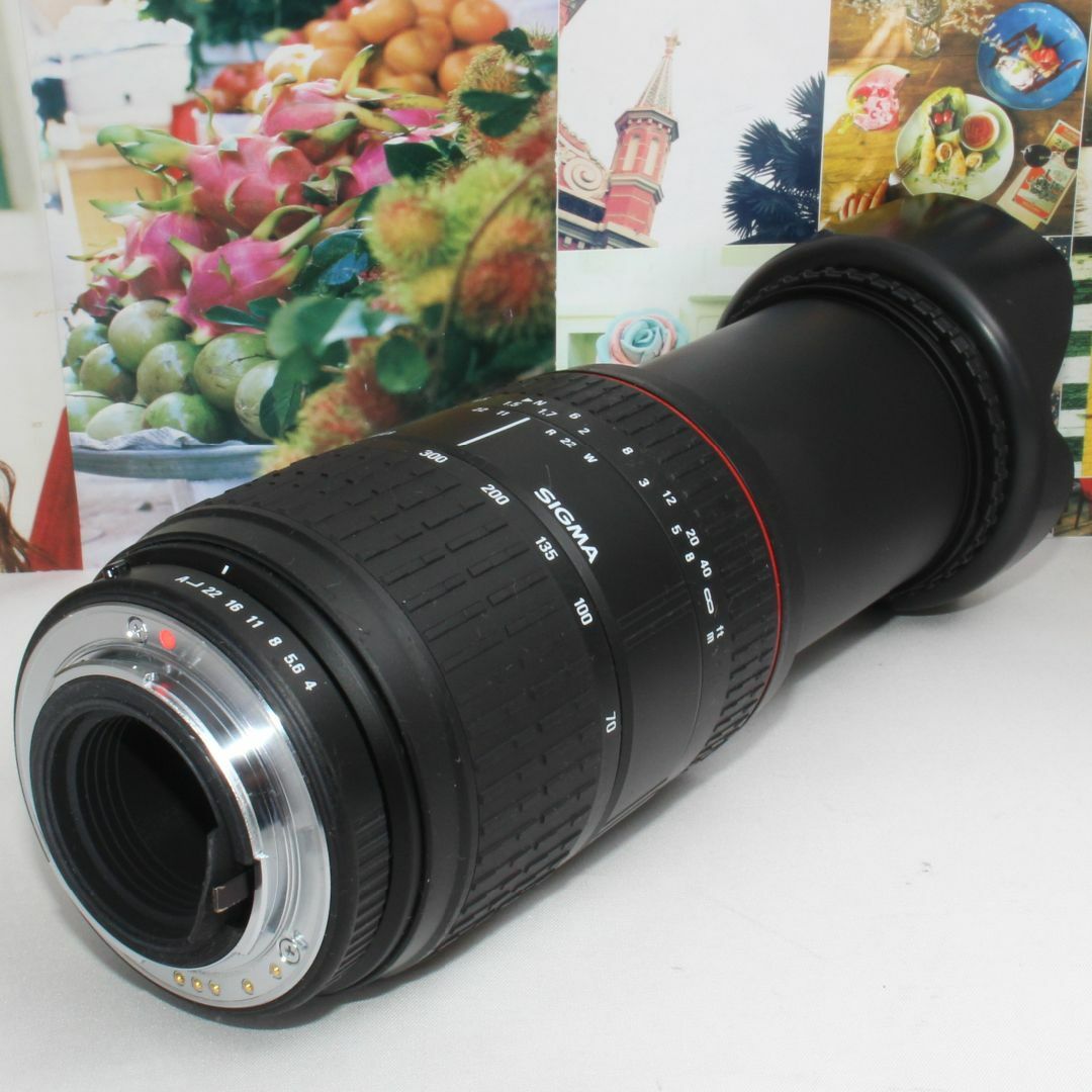 SIGMA 28-300mm PENTAX用 標準+望遠レンズ 美品！-