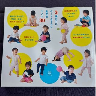 ３歳までにやっておきたい育児法ベスト30 ながみね(結婚/出産/子育て)