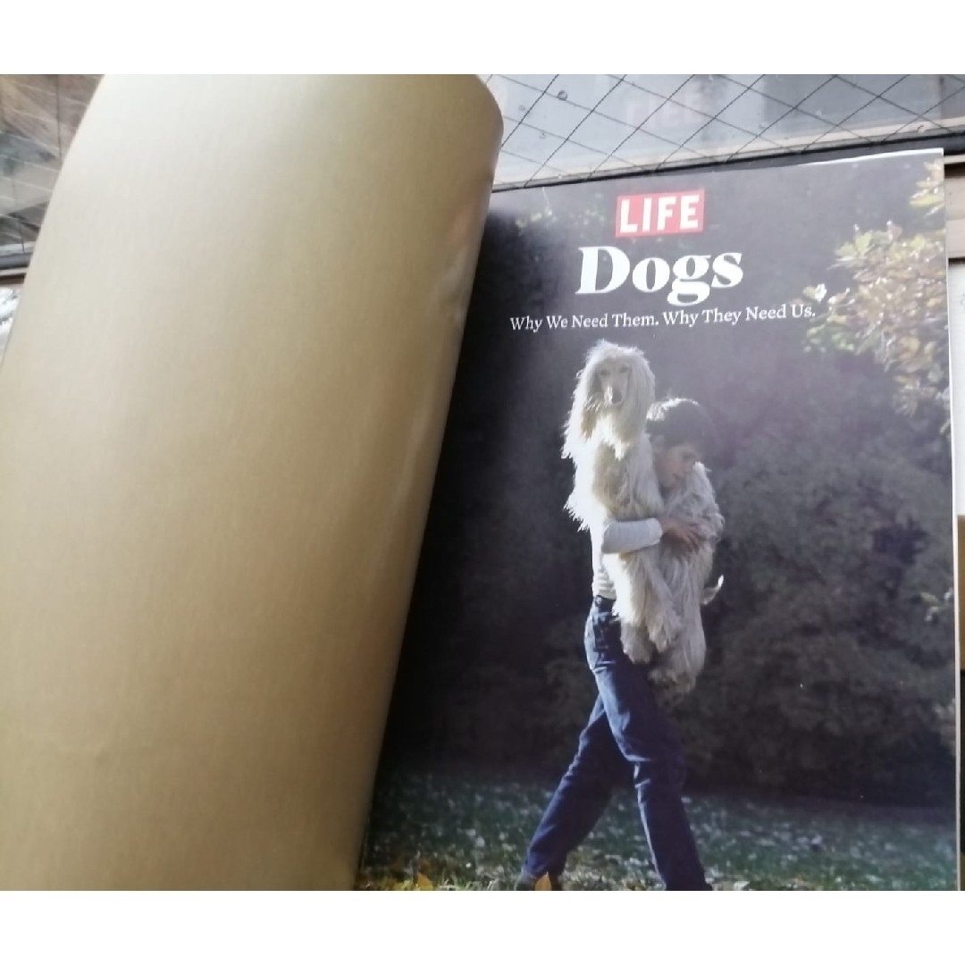 新品　英語　雑誌　life 犬　即日発送　英文　dog エンタメ/ホビーの本(洋書)の商品写真