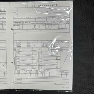 OBC給与奉行　源泉徴収票　100枚(その他)