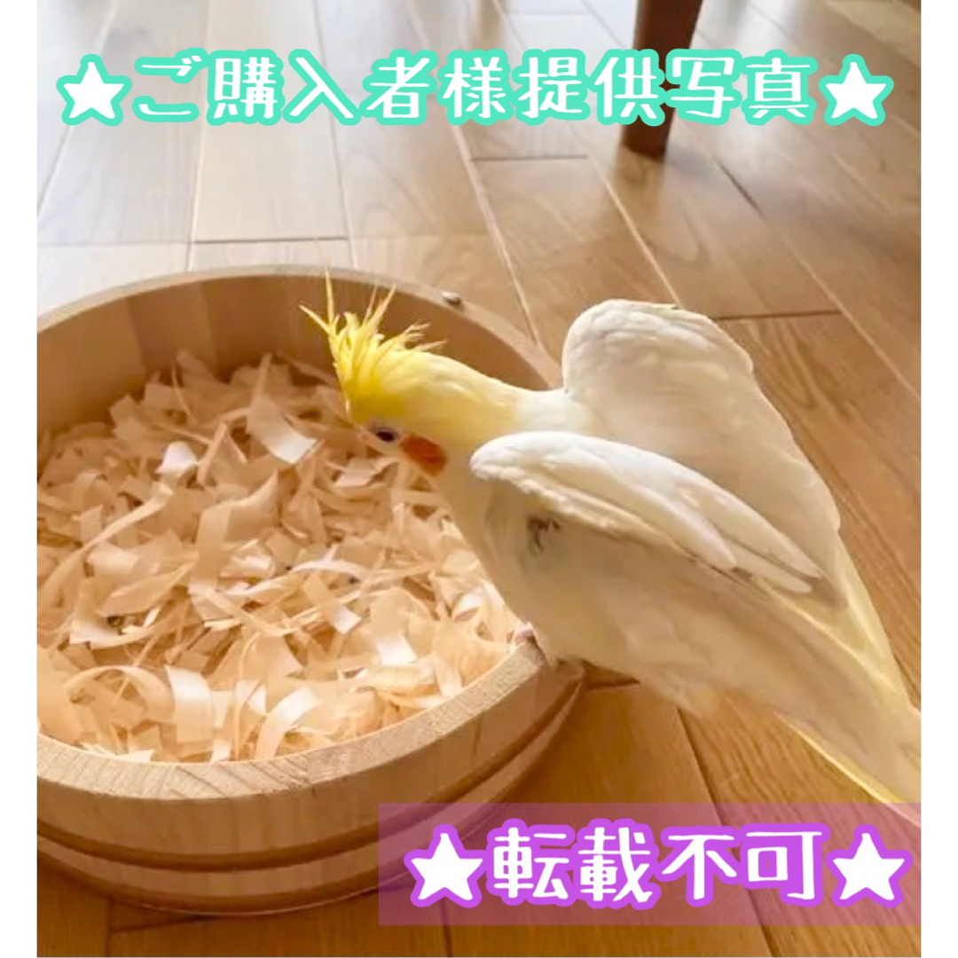 ひのきプール★インコや文鳥の小鳥のハンドメイドおもちゃ　バードトイ　フォージング ハンドメイドのペット(おもちゃ/ペット小物)の商品写真