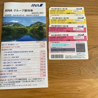 エーエヌエー(ゼンニッポンクウユ)(ANA(全日本空輸))のANA 株主優待券(その他)