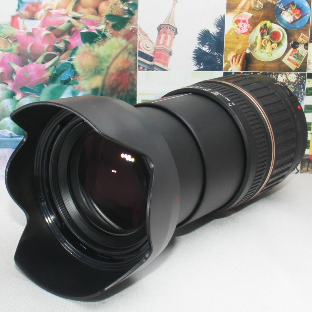 ❤️１本で近くから遠くまでカバー❤️キャノン用 TAMRON 18-200mm